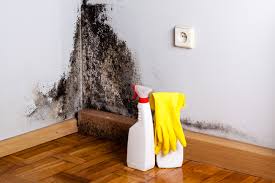 Mold Remediation for Rental Properties in Manorville, NY